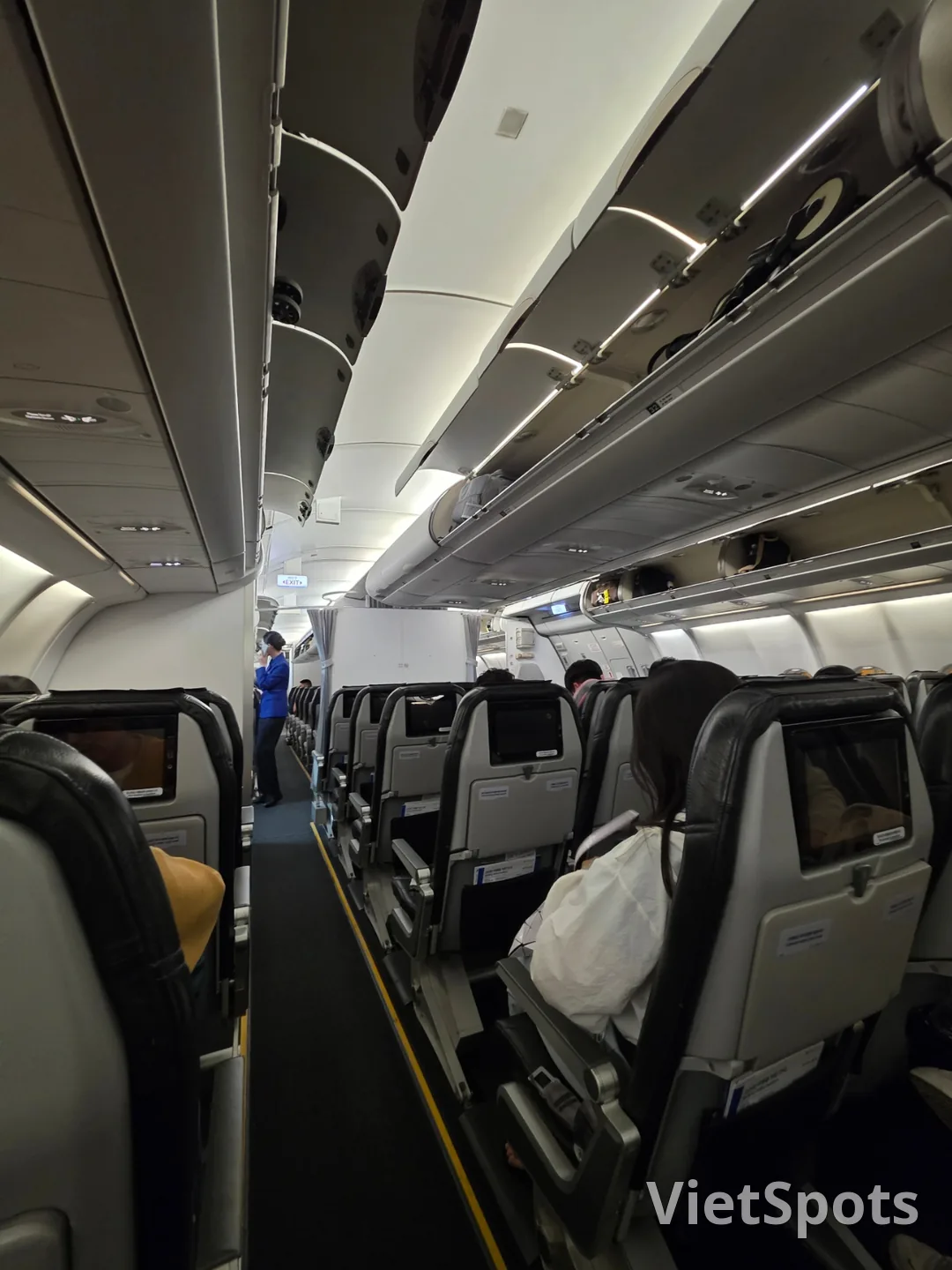 ✈️ 帕拉塔航空點評
