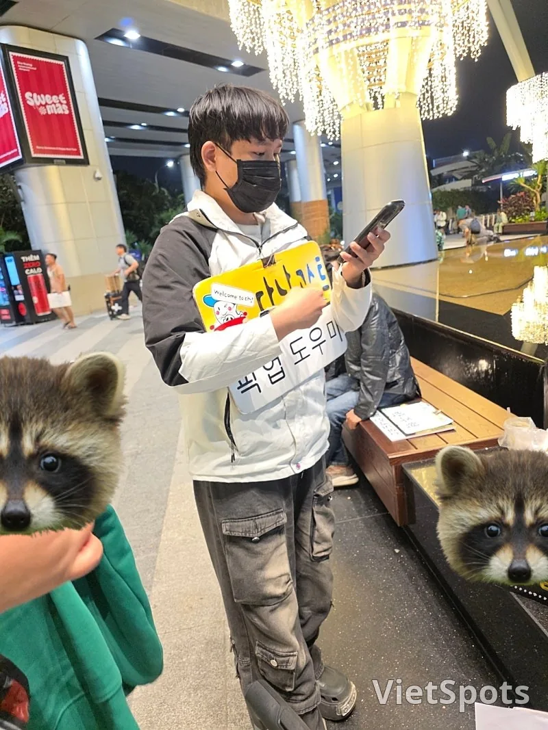✈️ ダナン空港の入国ファストトラックは必須みたいです!