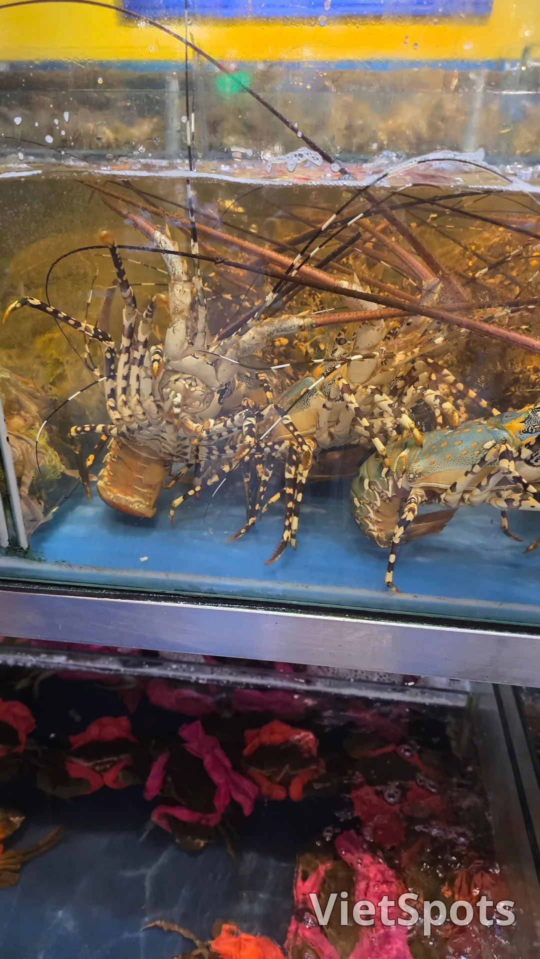 ✈️ダナンに来たから、美味しい海鮮をたっぷり食べに行こう~😁