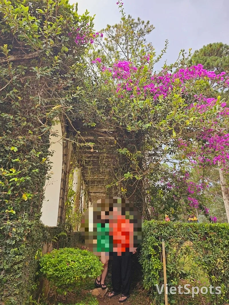 (यात्रा) 🇻🇳 दलात बाओ दाई महल
