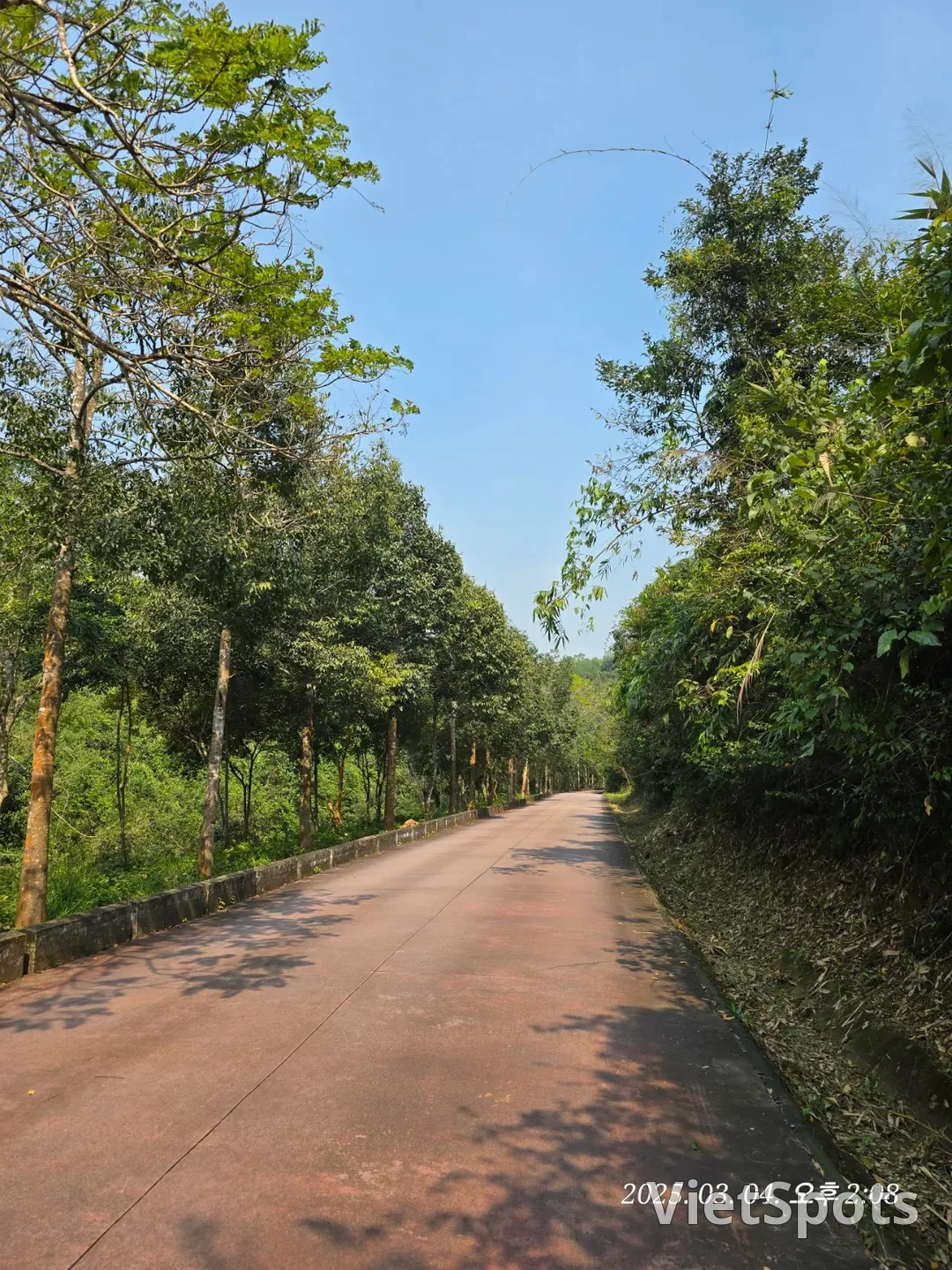 [Review Đà Nẵng ✈️] Thánh địa Mỹ Sơn 3 (ngoại truyện)