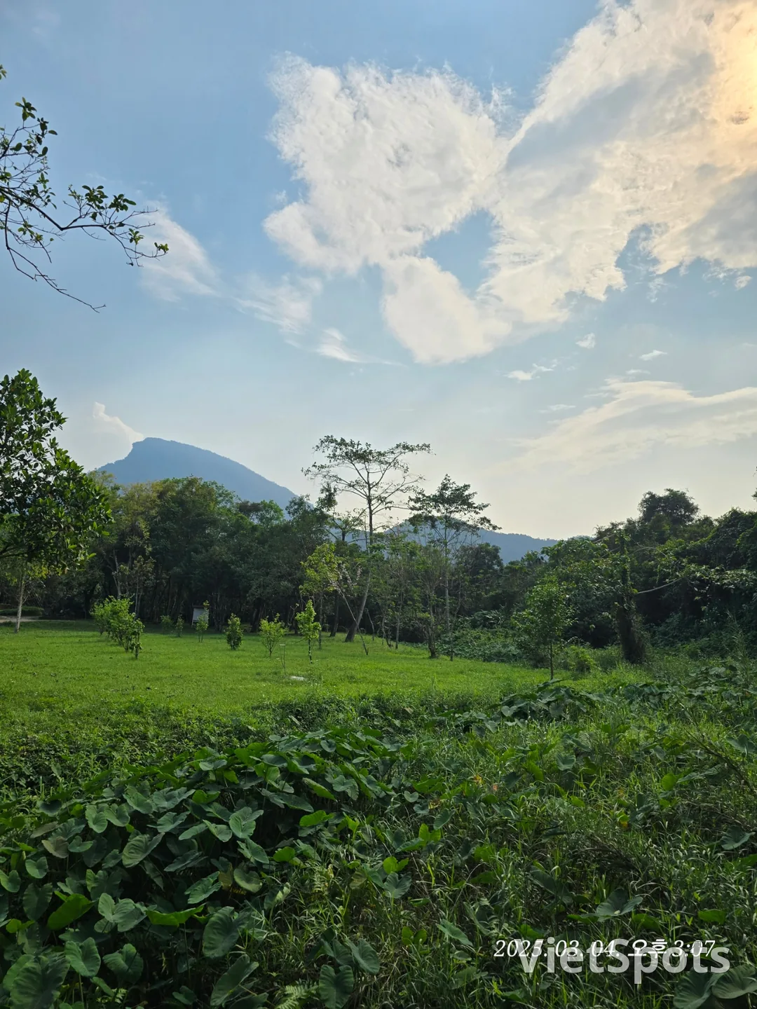 [Review Đà Nẵng ✈️] Thánh địa Mỹ Sơn 3 (ngoại truyện)