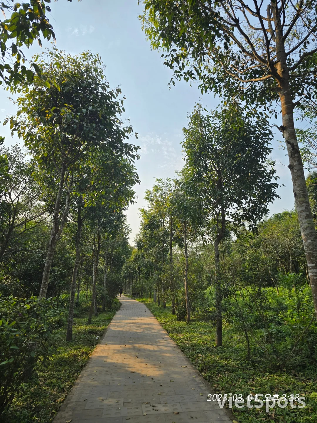 [Review Đà Nẵng ✈️] Thánh địa Mỹ Sơn 3 (ngoại truyện)