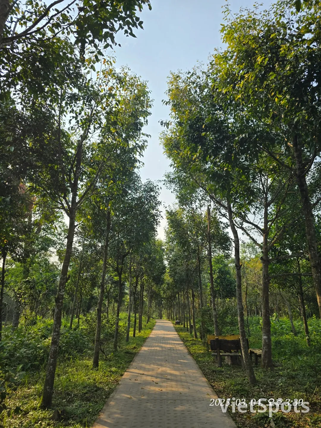 [Review Đà Nẵng ✈️] Thánh địa Mỹ Sơn 3 (ngoại truyện)