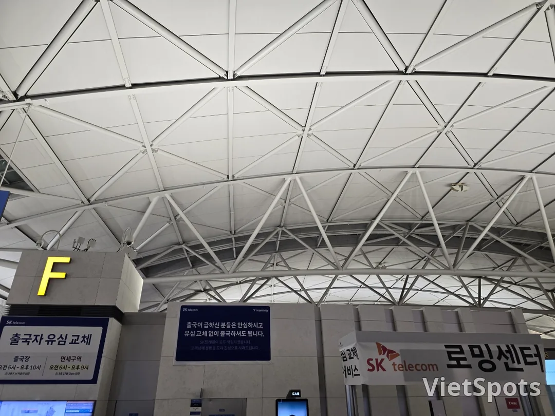 🇻🇳 दा नांग यात्रा समीक्षा ✈️ एयरपोर्ट पर SKT सिम कार्ड बदलना!