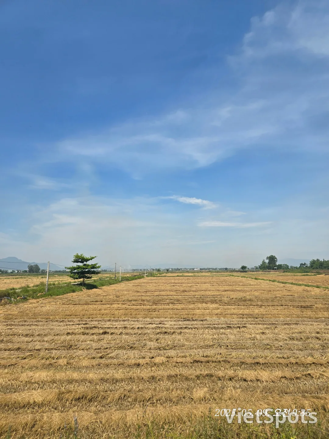 🇻🇳 峴港遊記 ✈️ 出發~~啦，去看稻田景觀！！
