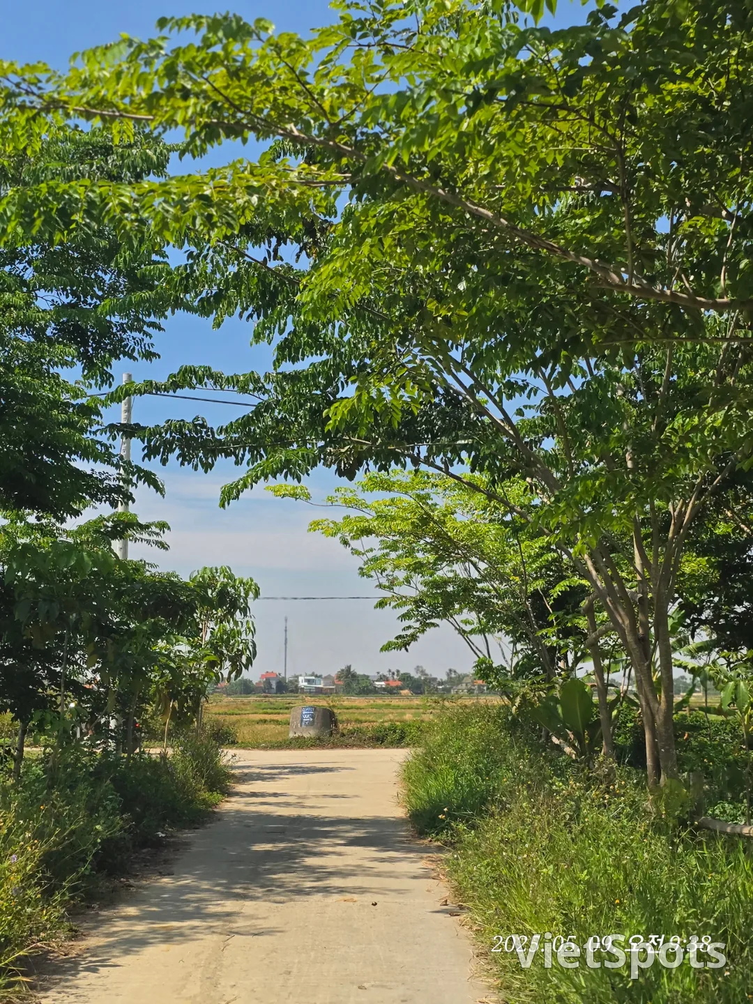 🇻🇳 峴港遊記 ✈️ 出發~~啦，去看稻田景觀！！