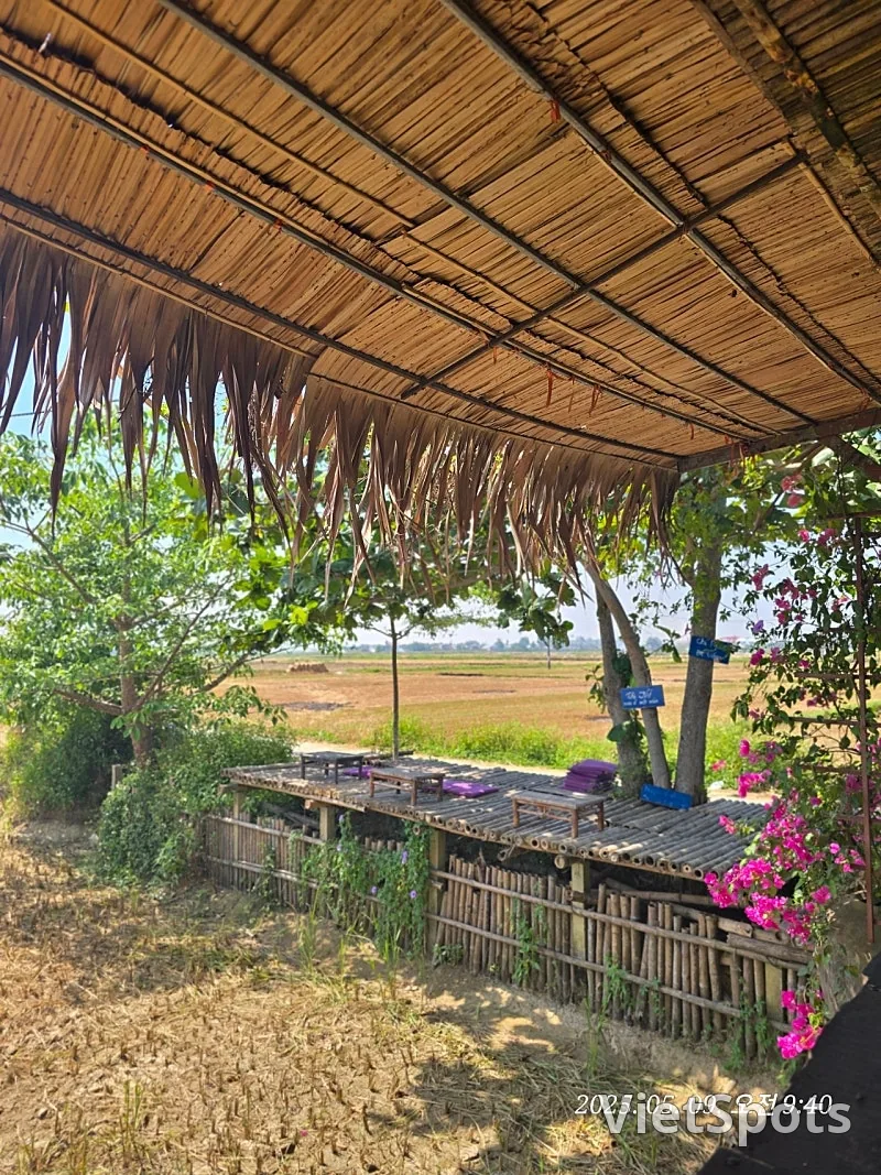 🇻🇳 峴港遊記 ✈️ 出發~~啦，去看稻田景觀！！