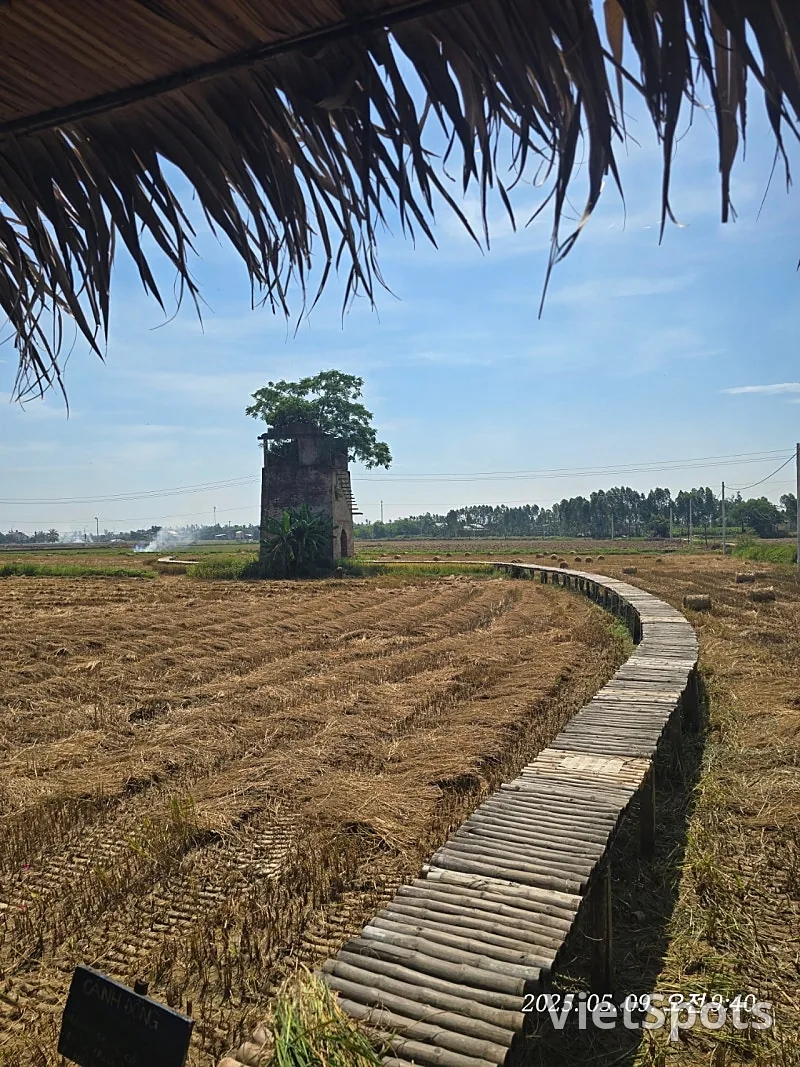 🇻🇳 峴港遊記 ✈️ 出發~~啦，去看稻田景觀！！