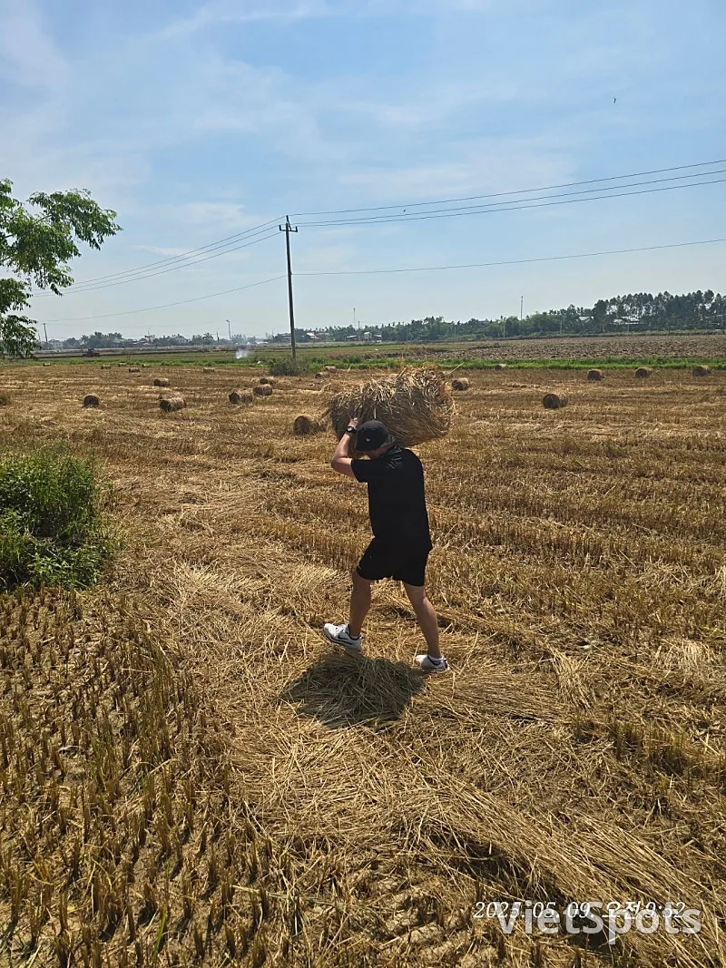 🇻🇳 峴港遊記 ✈️ 出發~~啦，去看稻田景觀！！