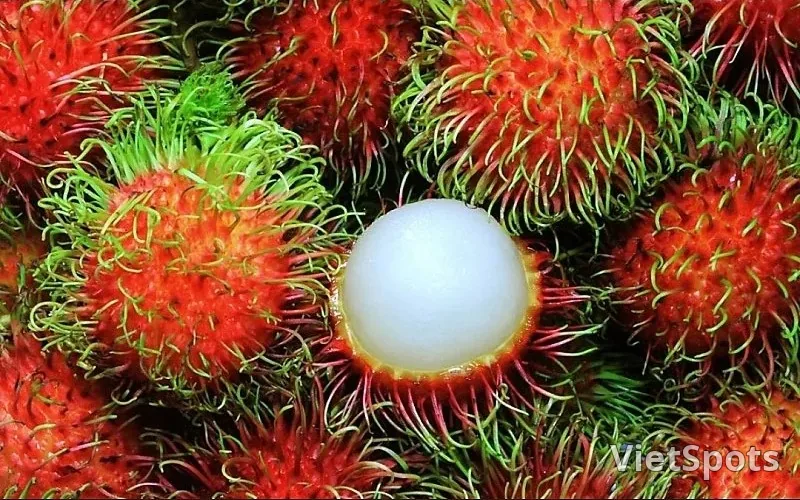 (資訊)我來告訴大家越南按季節(按月)的水果。