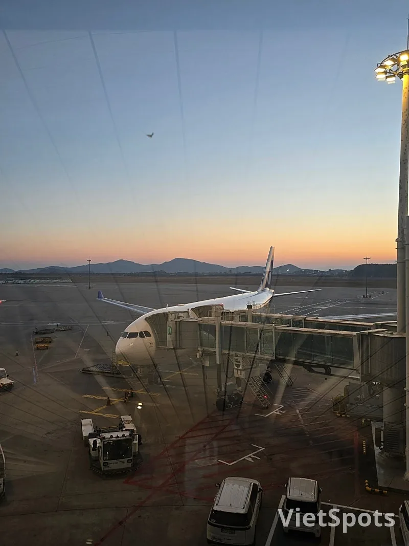 岘港游记❣️帕拉塔航空✈️登机体验分享