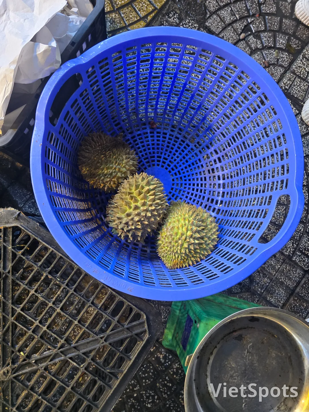 दा नांग समीक्षा❣️ एक दयालु और ईमानदार फल की दुकान🥭