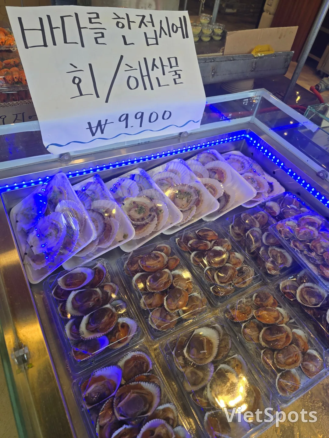 ❣️(du lịch) Chợ cá đảo Yeongjong🐟🐙🦐🐚🦑