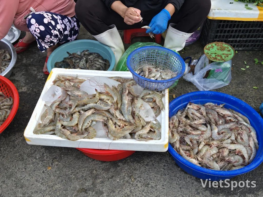 🇻🇳 會安清晨市場