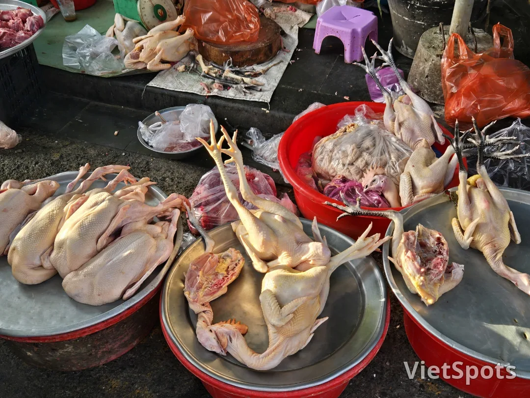 🇻🇳 會安清晨市場