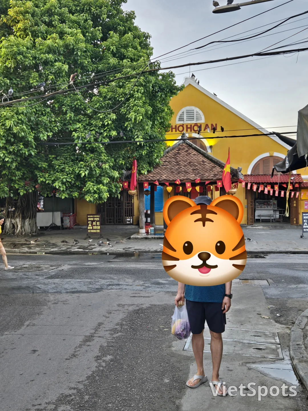 🇻🇳 इस समय होई एन