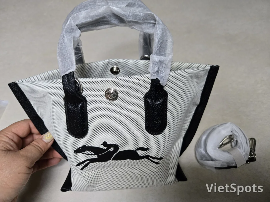 🇻🇳 ロンシャンの新商品だそうです ♡