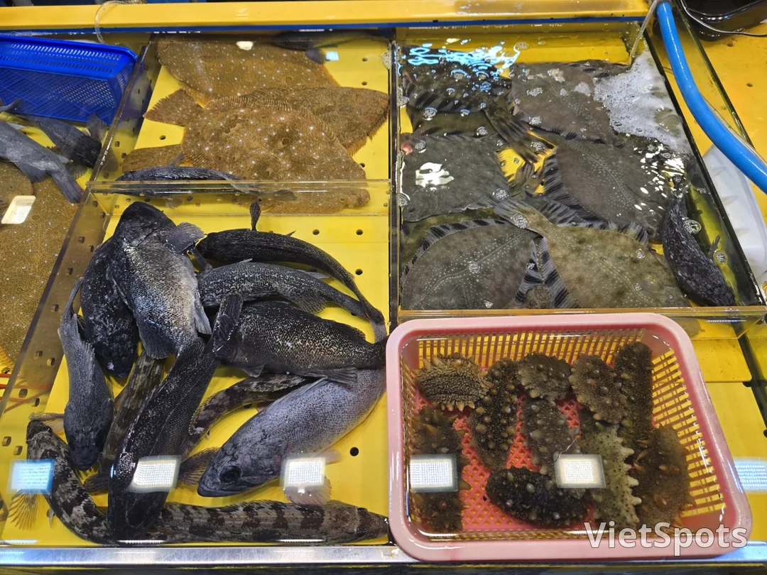 (Поездка 1) 🦀 Рыбный рынок Сорэ