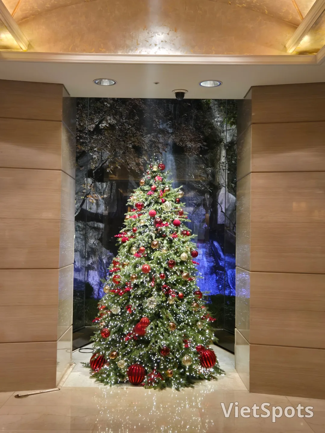 🎄 提前举办的年终聚会