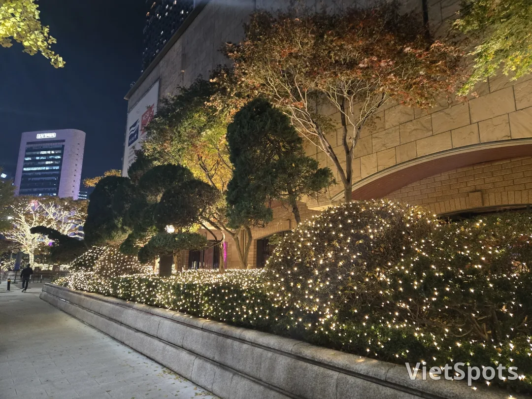 🎄 提前举办的年终聚会