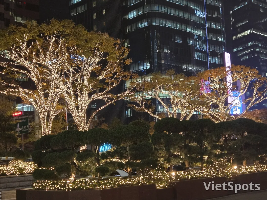 🎄 提前举办的年终聚会