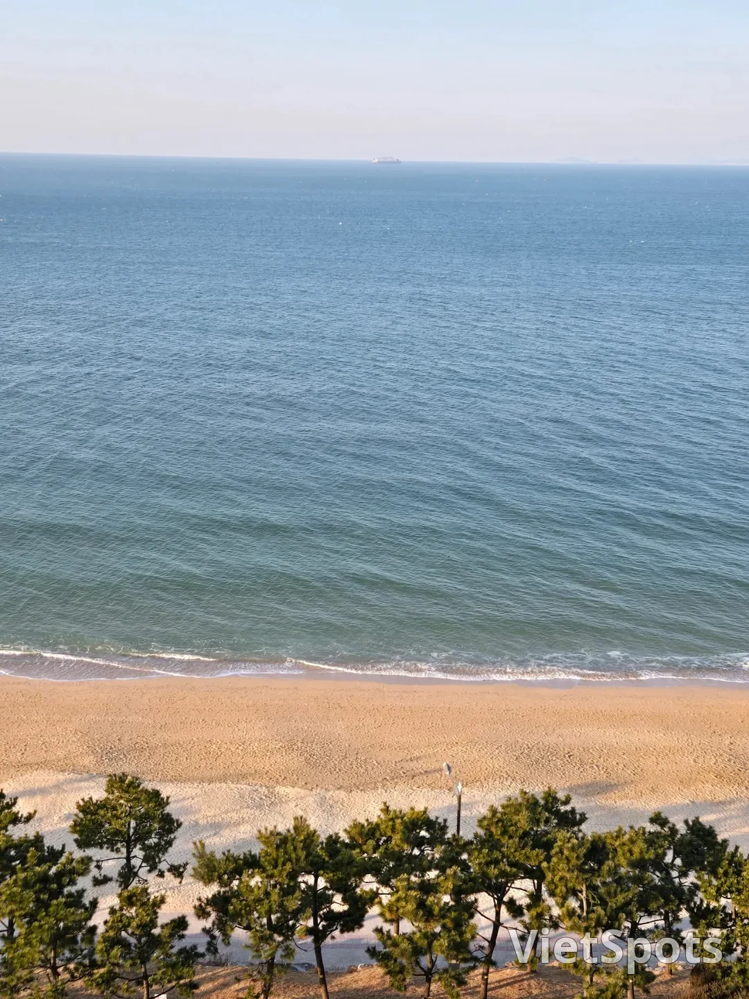 (Du lịch 3) Bãi biển Daecheon