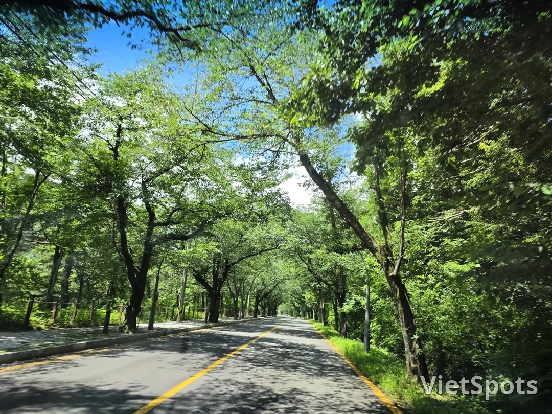(旅行1) 雪岳山国立公园
