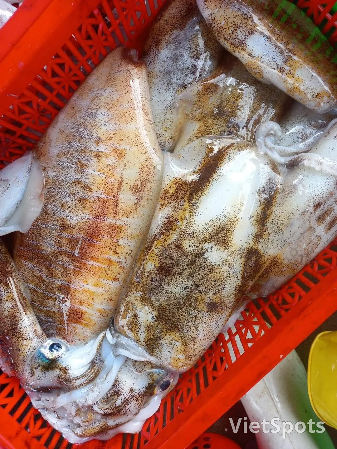 Quán Nhậu A Xử