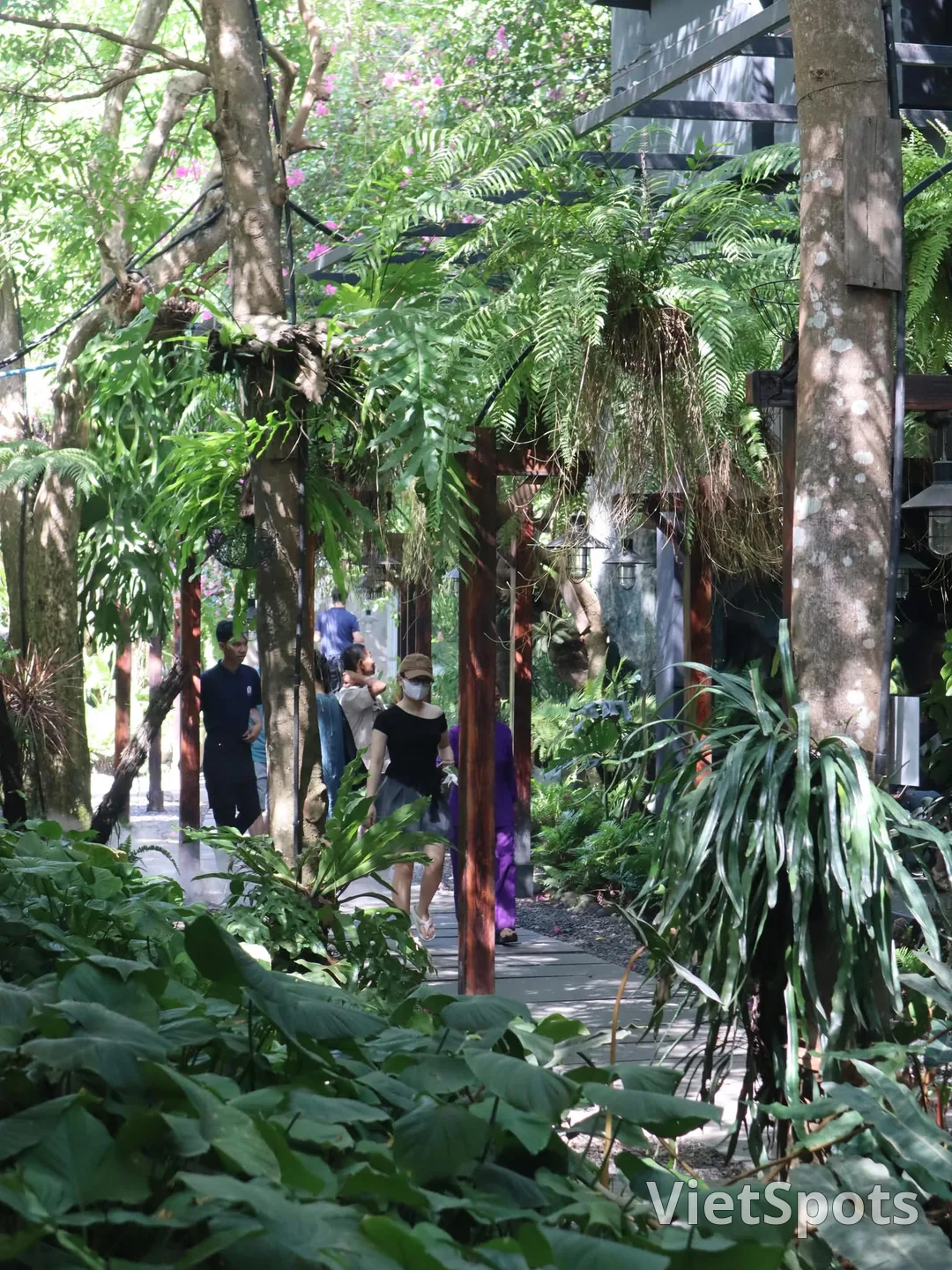 Trốn nắng với quán cà phên tropical 34