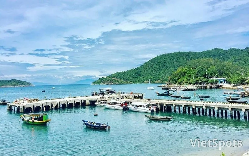 Trải nghiệm lặn ngắm san hô tại đảo Cù Lao Chàm