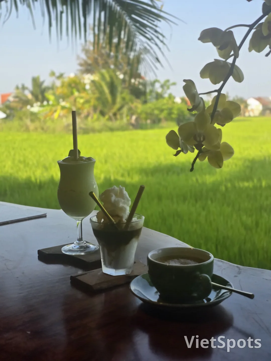 🇻🇳 老稻田 / 咖啡与早午餐