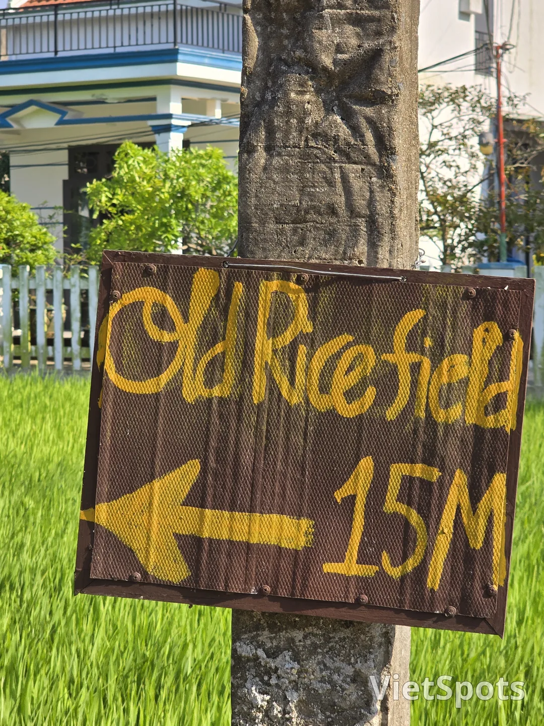 🇻🇳 老稻田 / 咖啡与早午餐