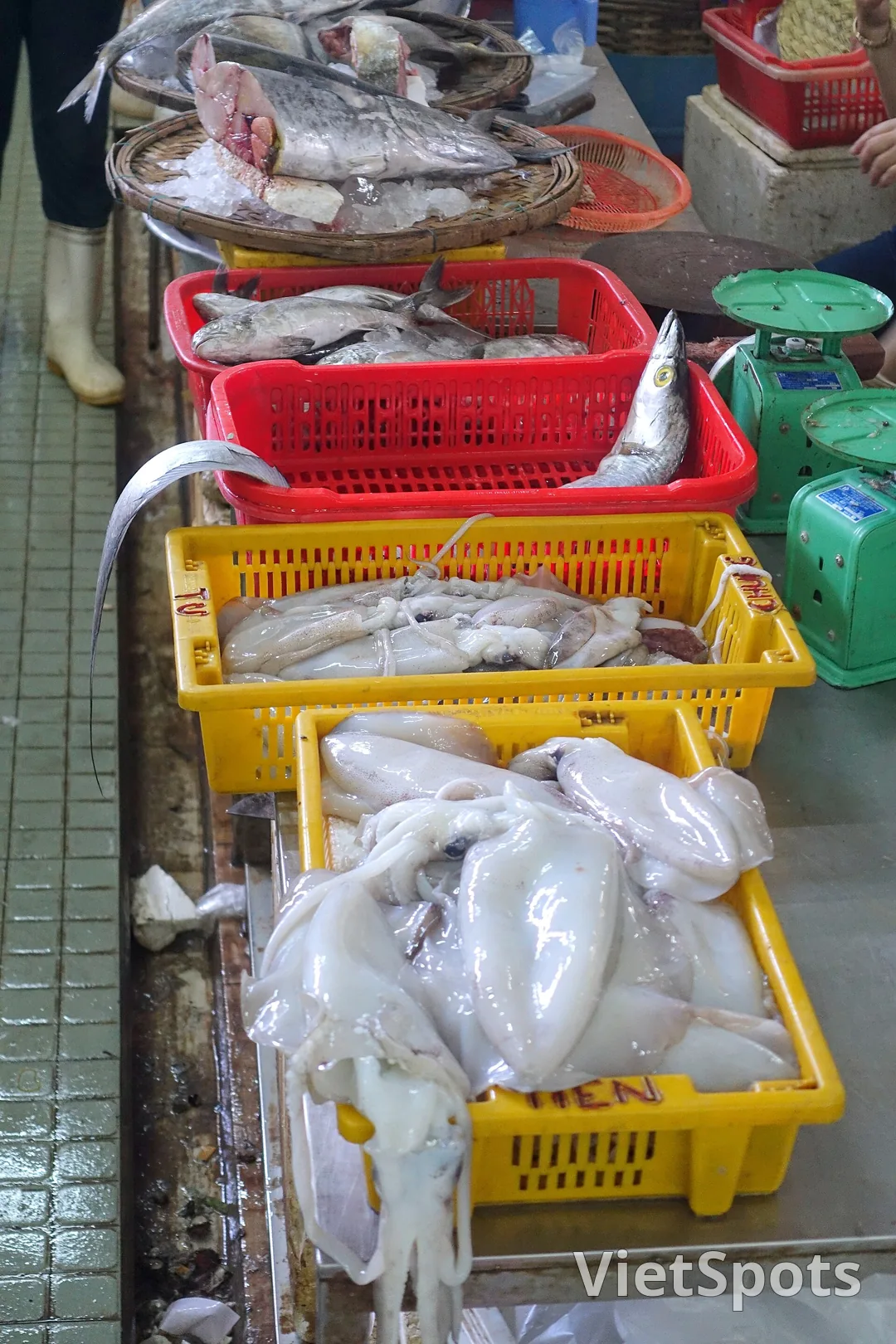 Quầy hải sản tươi ở chợ Hàn: cá, mực xếp trong rổ