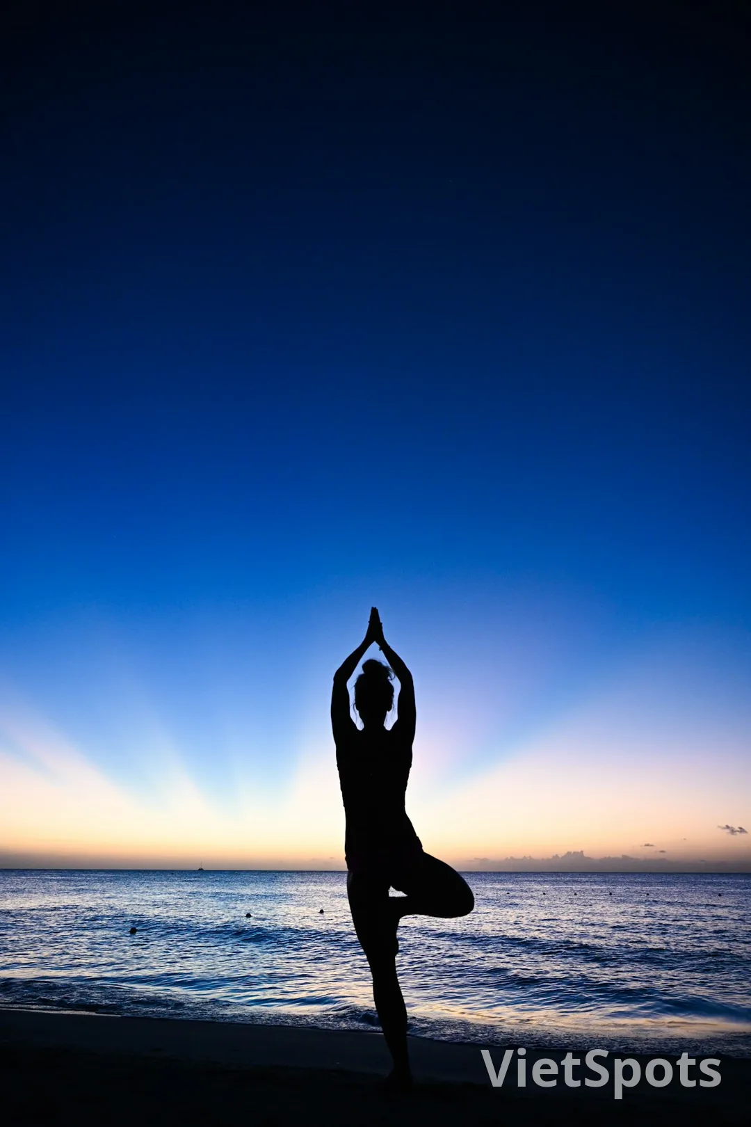 Silhouette người tập yoga tree pose trên bãi biển lúc sunrise/twilight blue