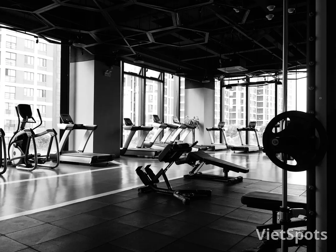 Gym hiện đại với hàng treadmills, elliptical, dumbbells rack, view tòa cao tầng qua kính lớn