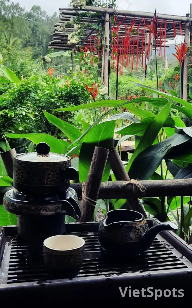 🌿 OM Tea & Coffee – A green tea corner at the foot of Son Tra mountain