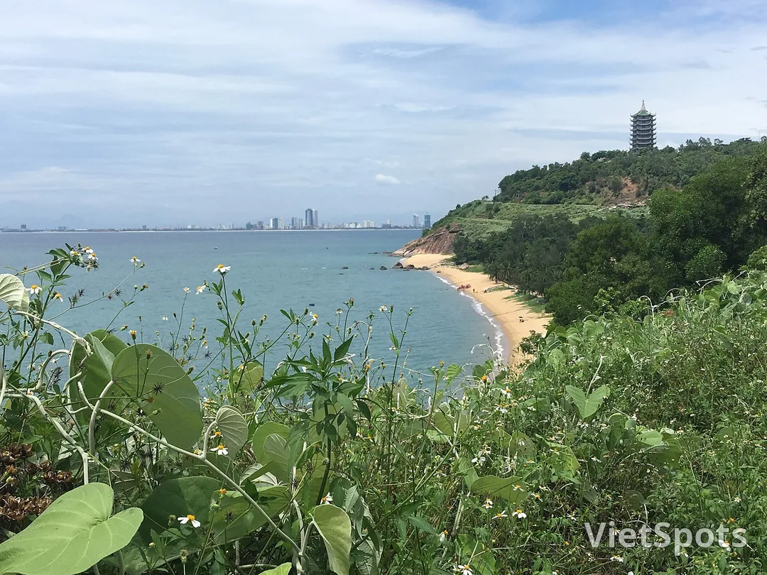 Bãi biển nhỏ dưới chân bán đảo Sơn Trà, hoa dại trắng ở tiền cảnh, thành phố Đà Nẵng mờ phía xa