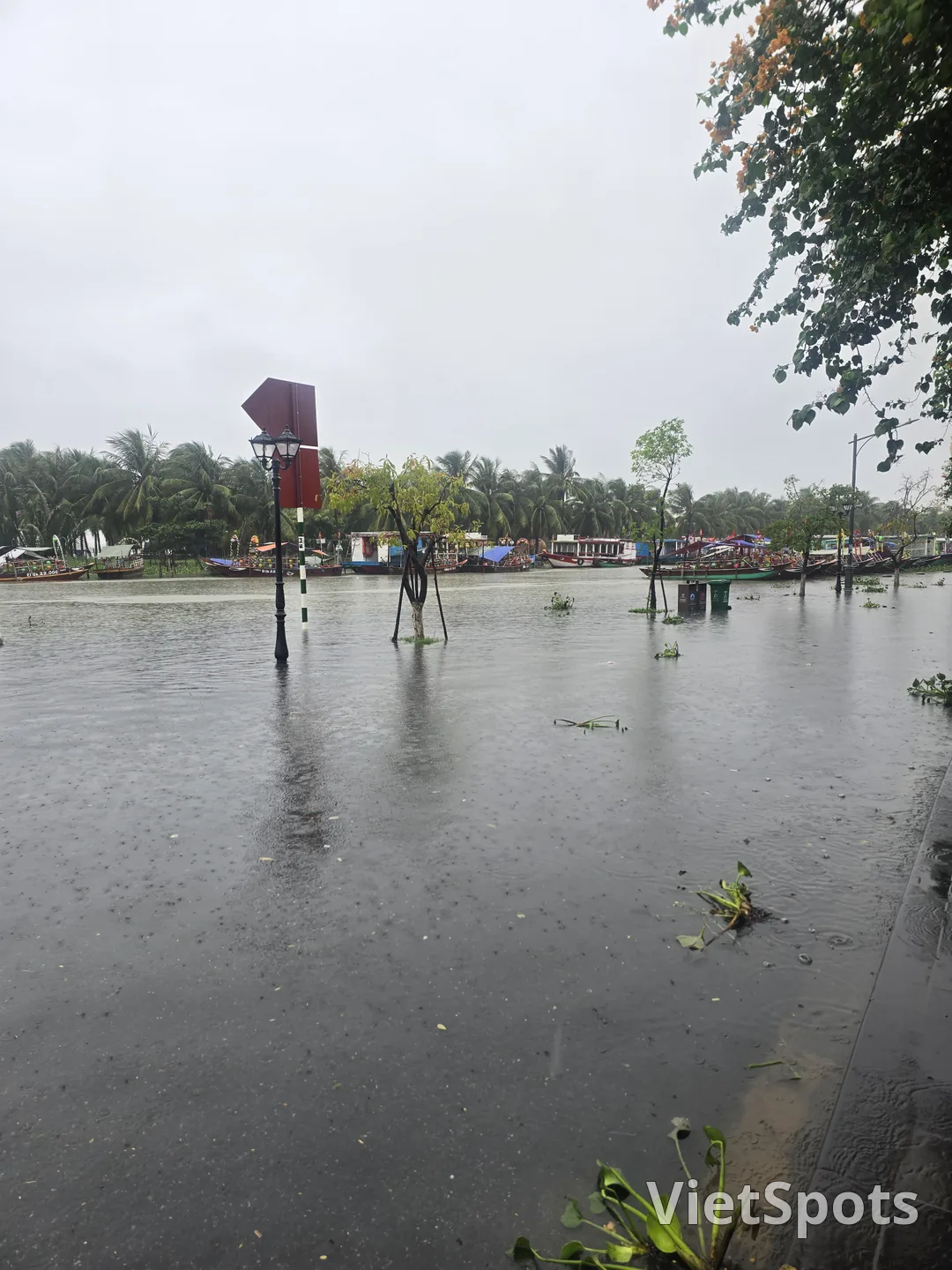 雨の降るホイアン旧市街