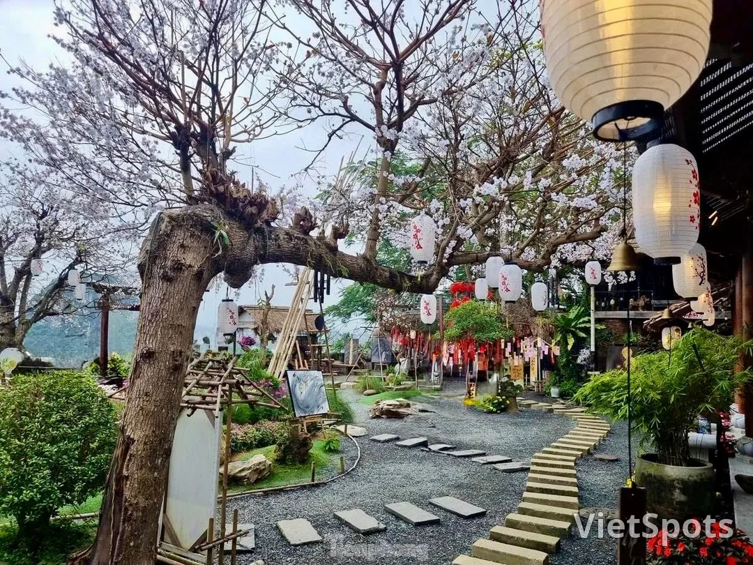 วัดที่สวยงามและเงียบสงบใจกลางเมืองดานัง!