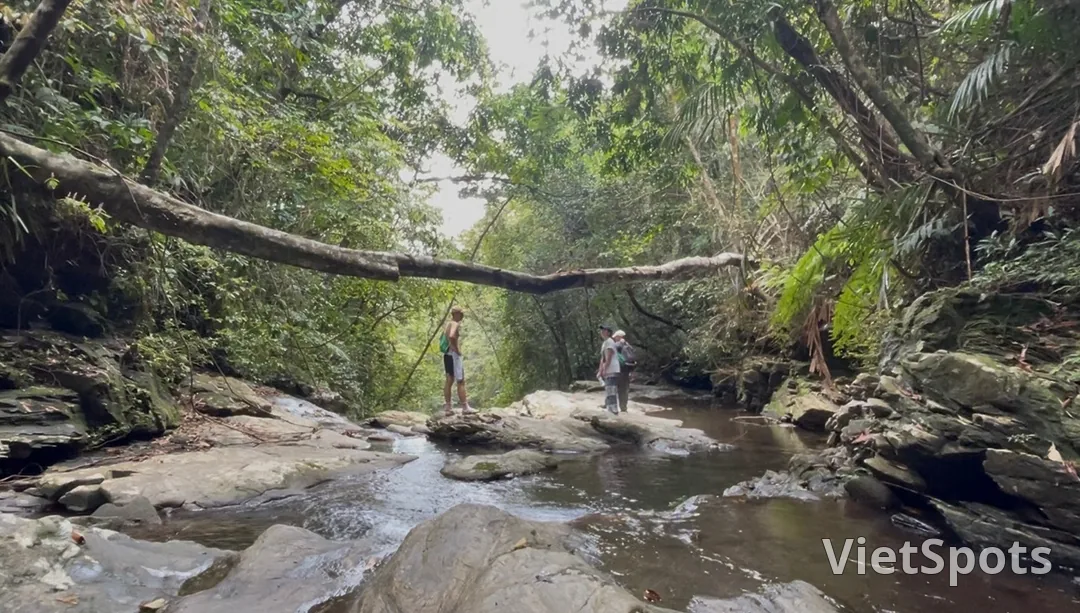 Người trekking đi qua suối đá trong rừng Vườn quốc gia Bạch Mã