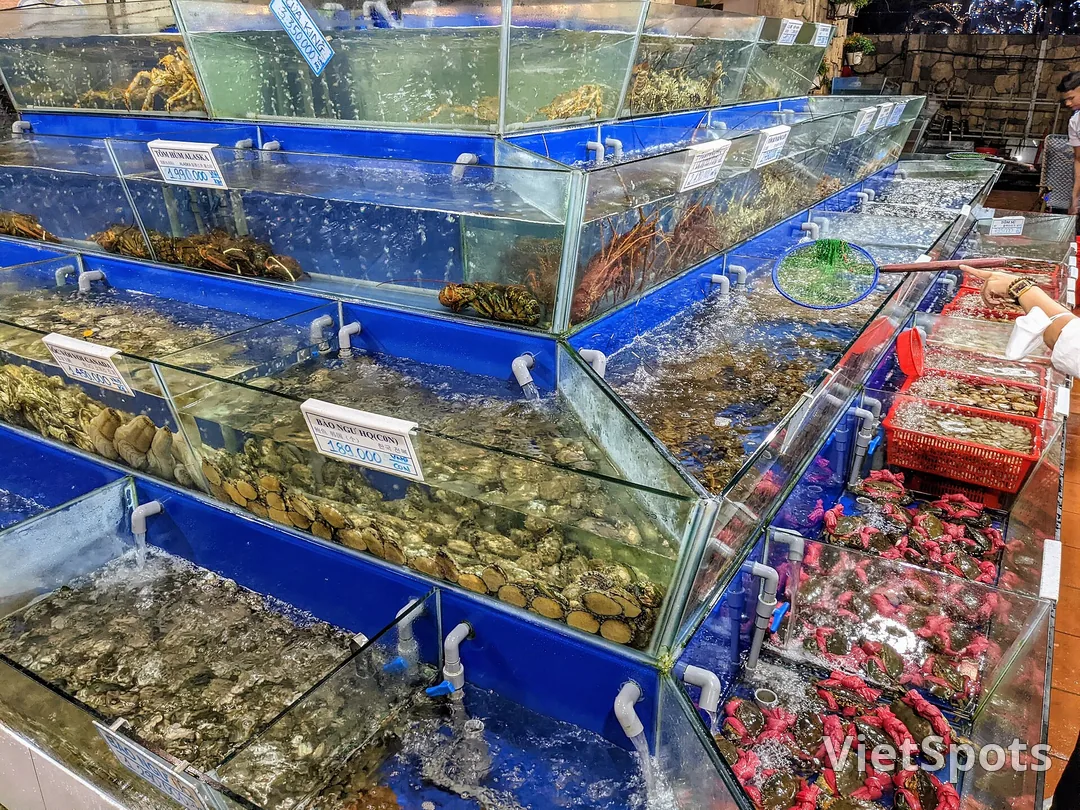Dãy bể kính nuôi hải sản sống trong một nhà hàng ở Đà Nẵng, tôm hùm, bào ngư, cua và ốc bơi trong từng ngăn, mỗi bể có gắn thẻ ghi tên và giá