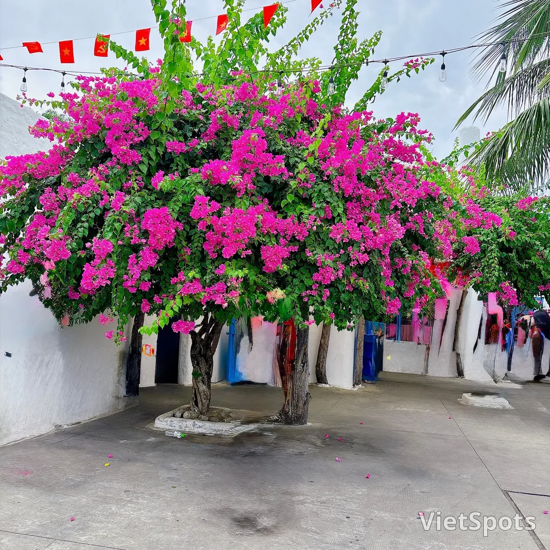 Sơn Trà Marina