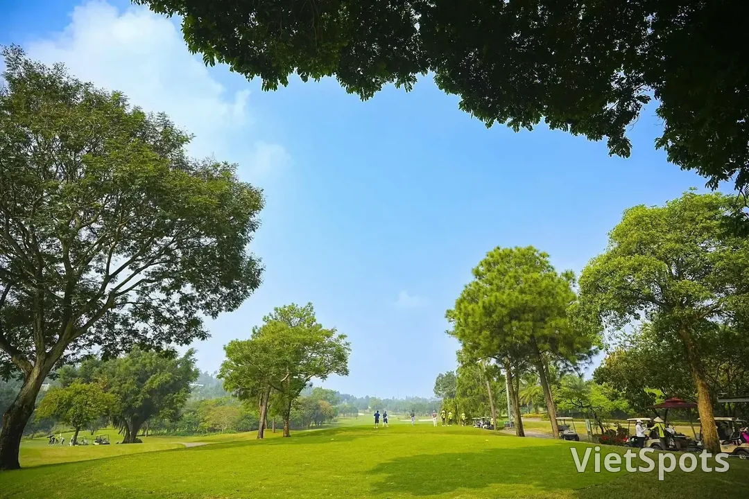 Fairway ở Tam Đảo Golf Resort dưới tán mấy cây cổ thụ lớn, phía xa có nhóm golfer và xe điện