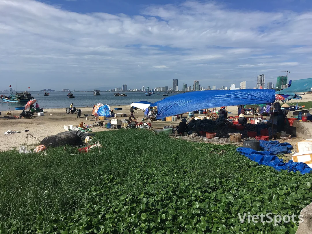 Chợ cá họp ngay trên cát dưới tấm bạt xanh căng rộng, người ngồi phân loại hải sản vào rổ nhựa, tàu cá neo phía sau