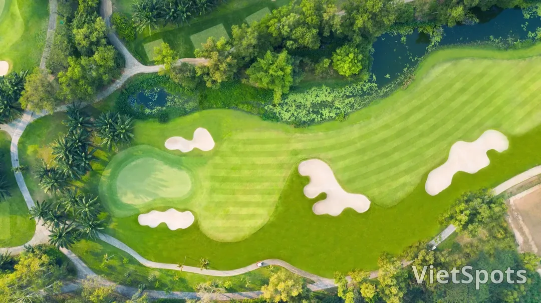 Một hố golf chụp thẳng từ trên xuống: green bo tròn, bốn cụm bẫy cát trắng và hàng cọ chạy dọc một bên