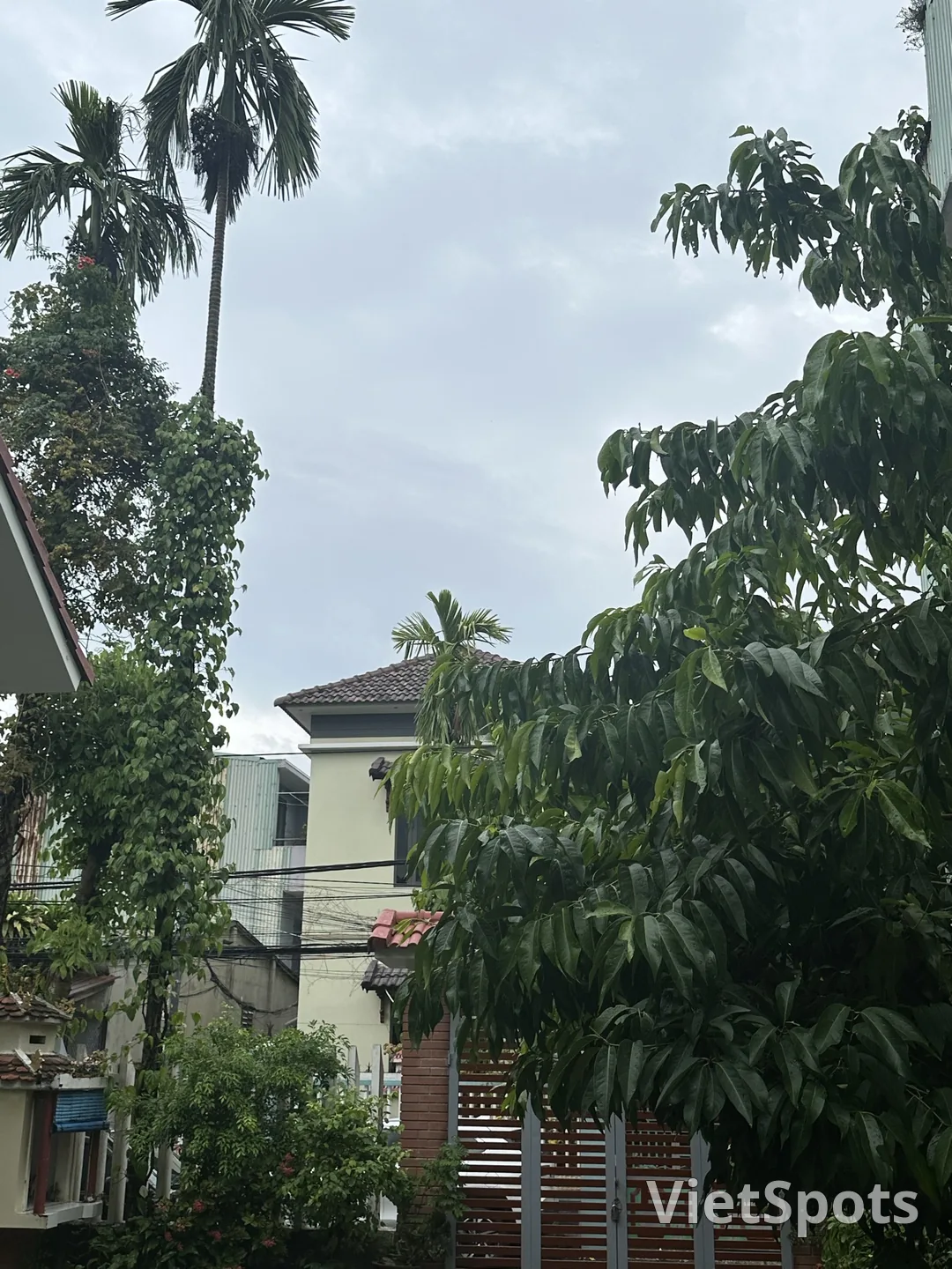 [WEATHER WARNING] The rainy season is here, everyone be careful when going outside!