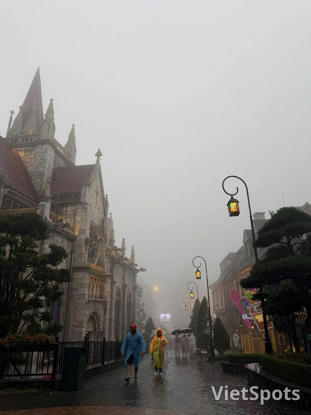 [巴拿山新聞 12/10/2026] 走進霧之境，感受朱阿峰頂上浪漫的雨