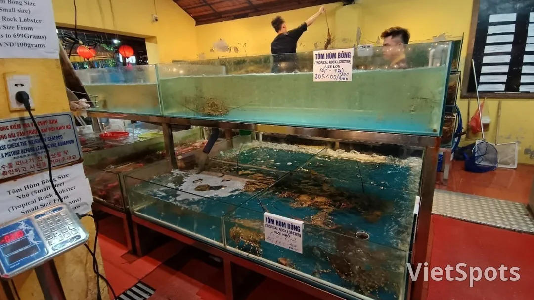 Mộc Quán Seafood Da Nang — fresh seafood you pick from the tank, cooked right on the spot (a Michelin-recognized restaurant)