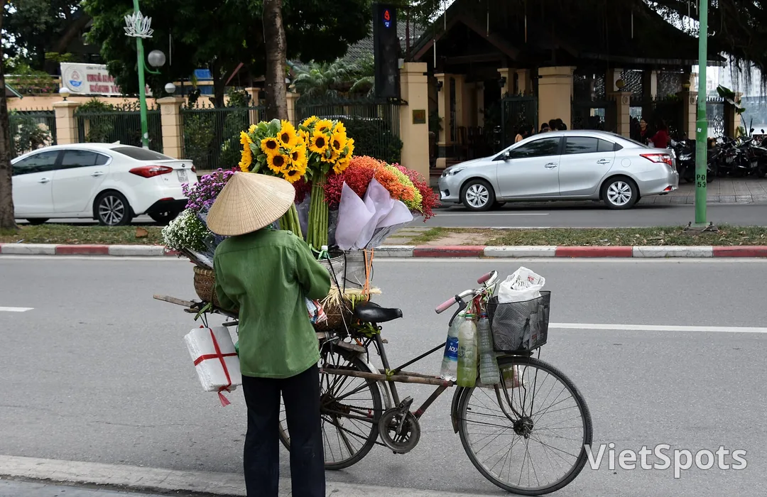 Người bán hoa đội nón lá đứng bên chiếc xe đạp chở đầy hướng dương, cúc tím và hoa gói giấy, nhìn từ phía sau